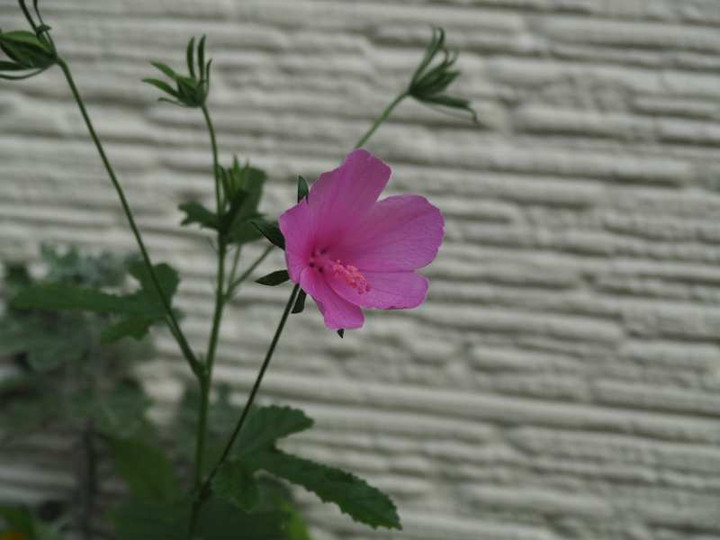 P9245316