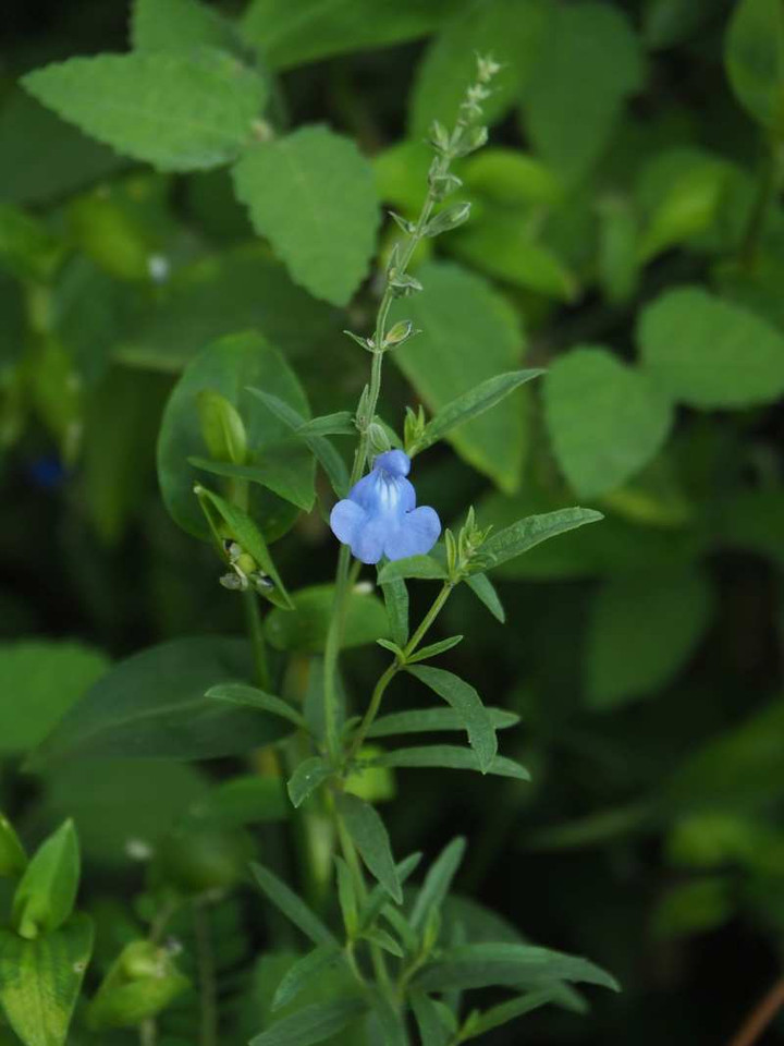 P9245325