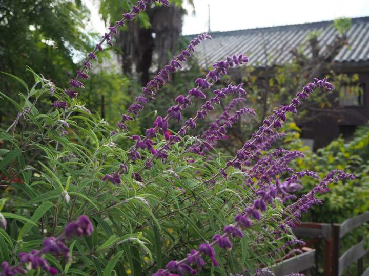 P9255370