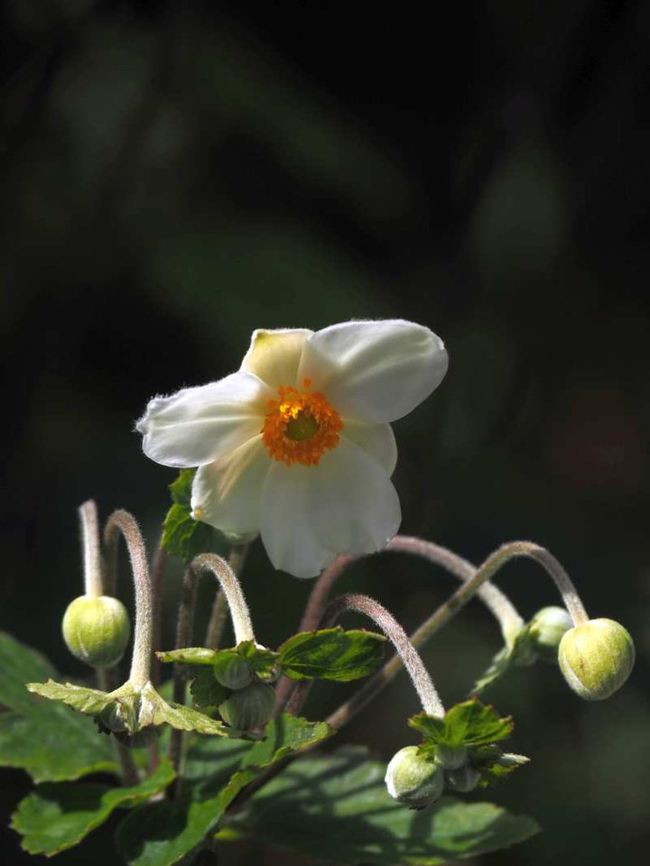 P9275491