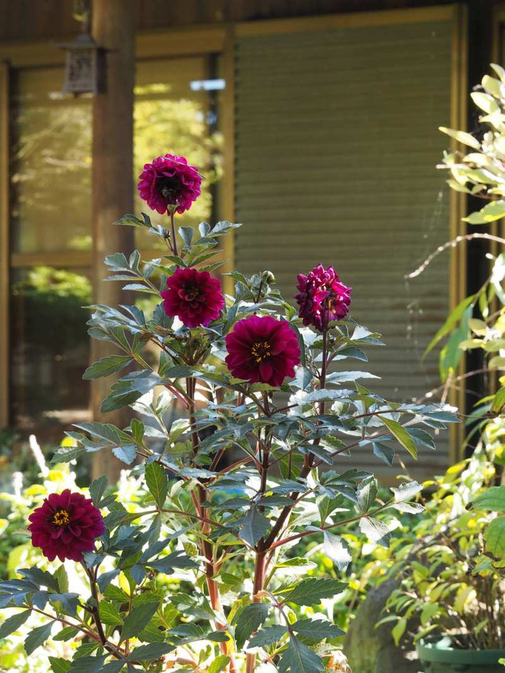 P9305617