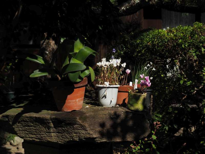 P9305619