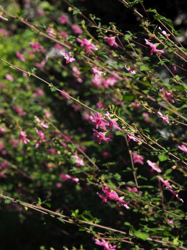 P9305646