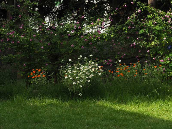 P9305649