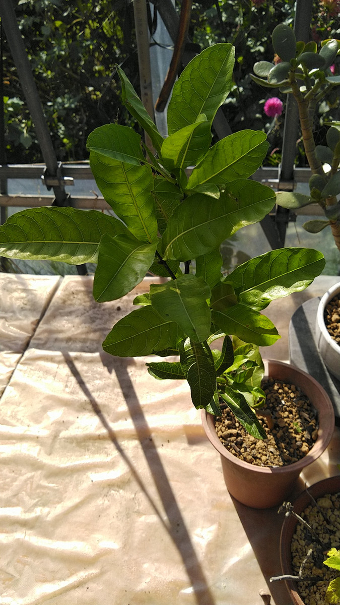 Kimg6409_1