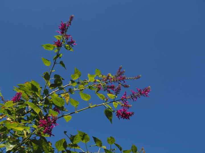 Pa297881