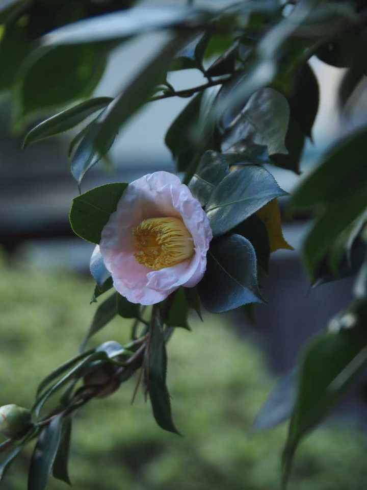 Pb048713