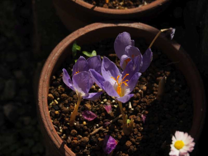 Pb048722