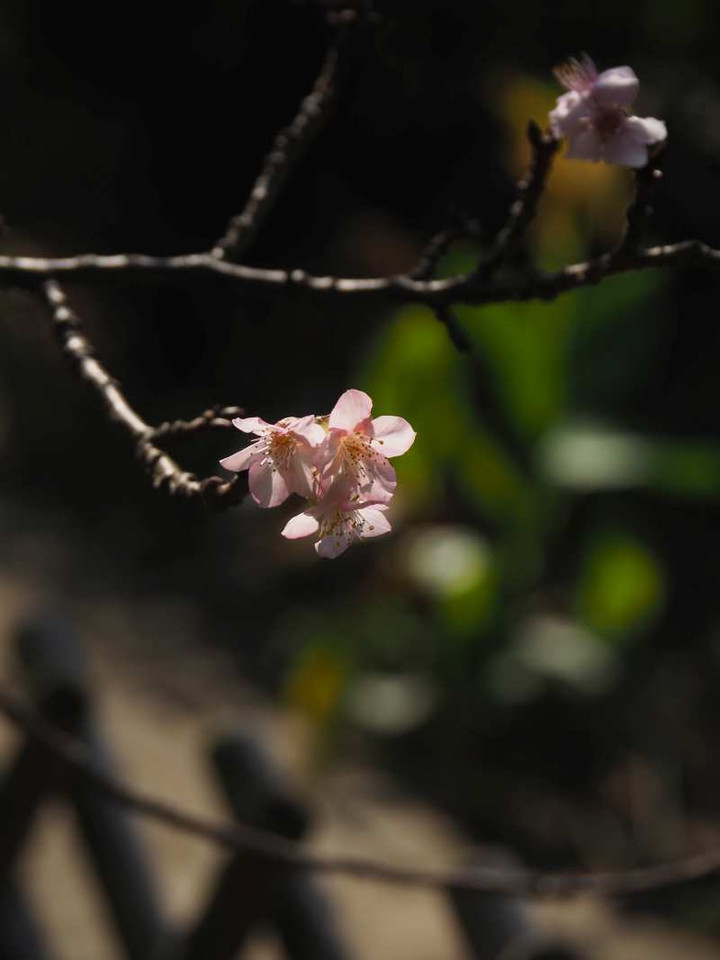 Pb058758
