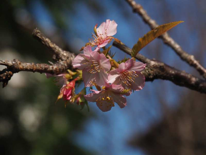 Pb058764