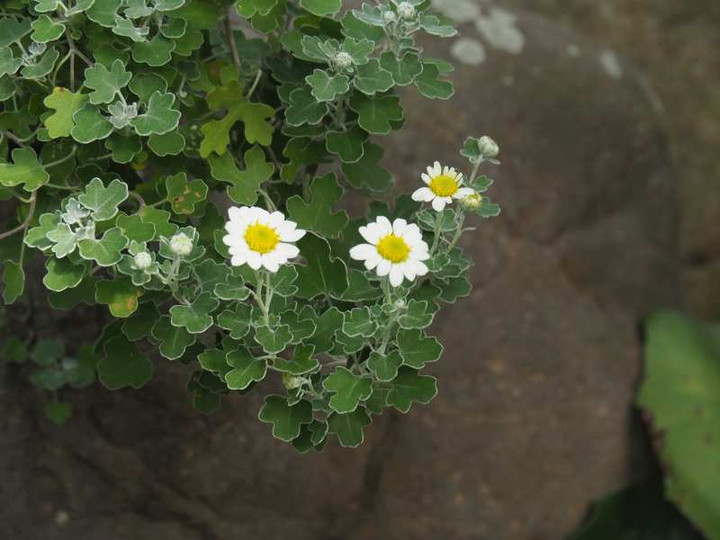 Pb089040