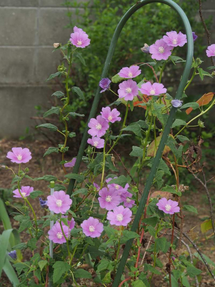 Pb089048