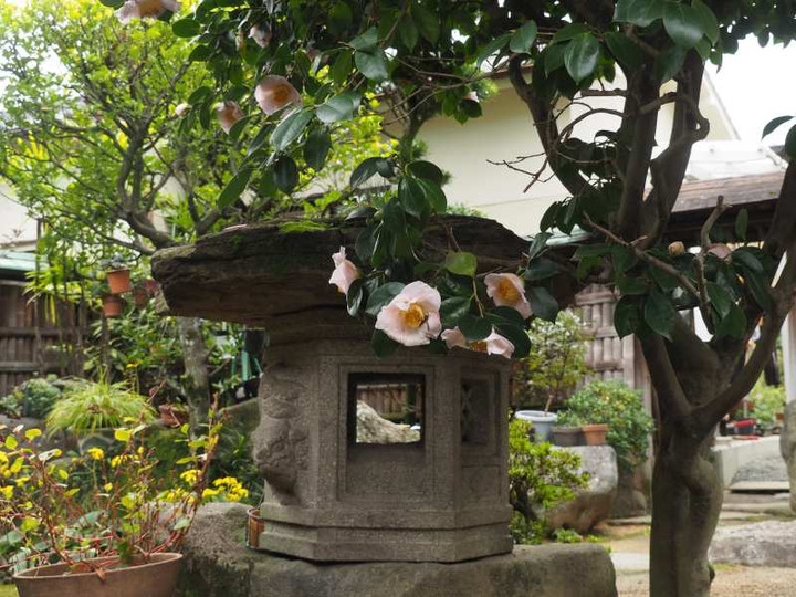 Pb099073