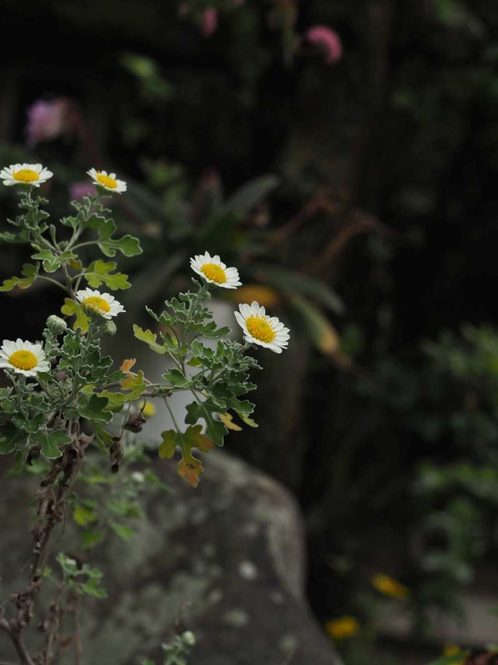 Pb099078