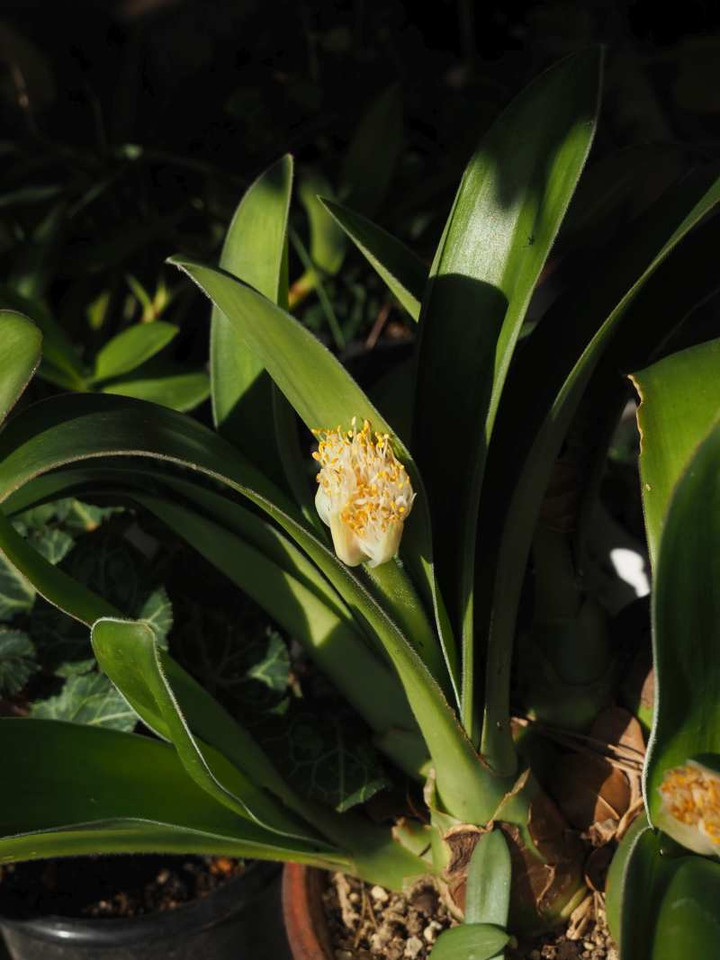 Pc010030