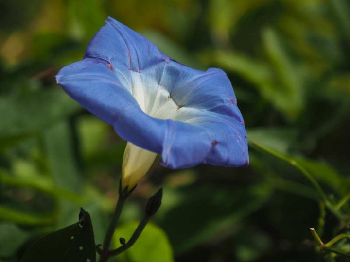 Pc010049