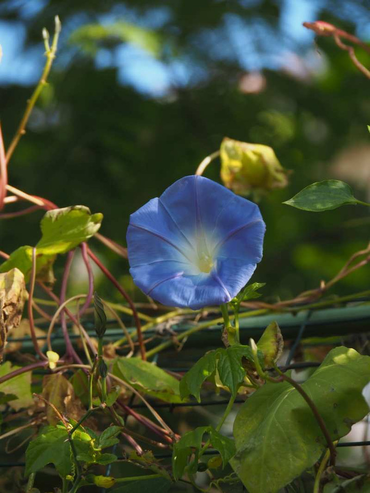 Pc030062