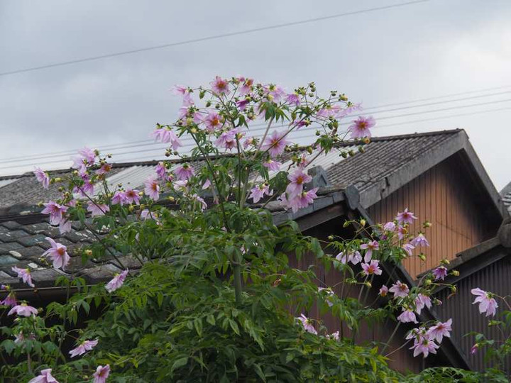 Pc040071