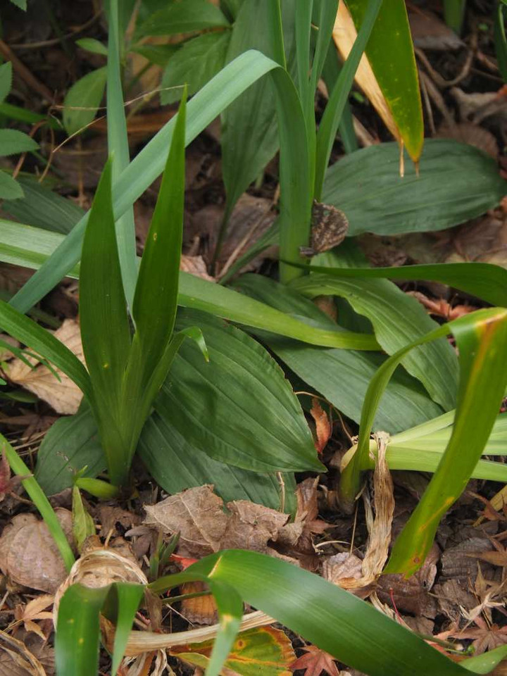 Pc040082