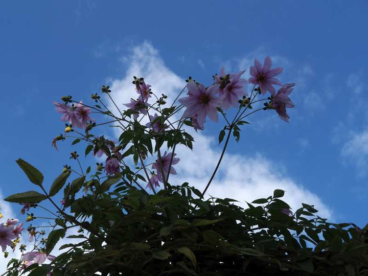 Pc080385