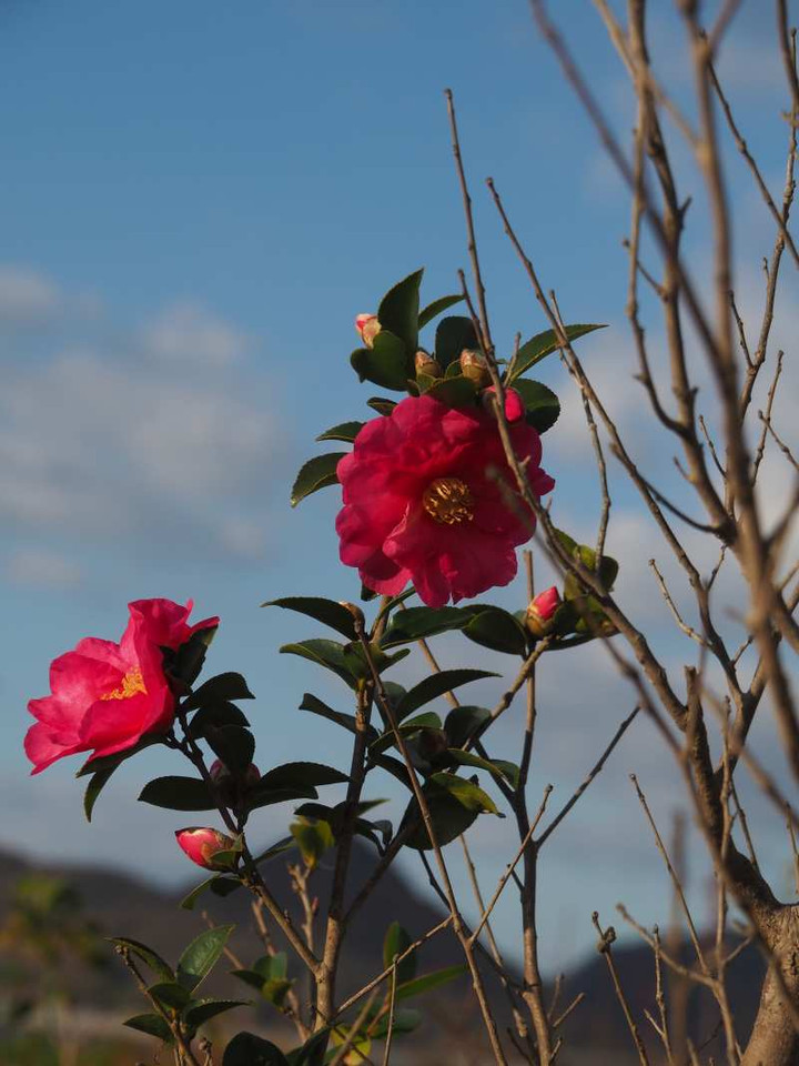 Pc080413