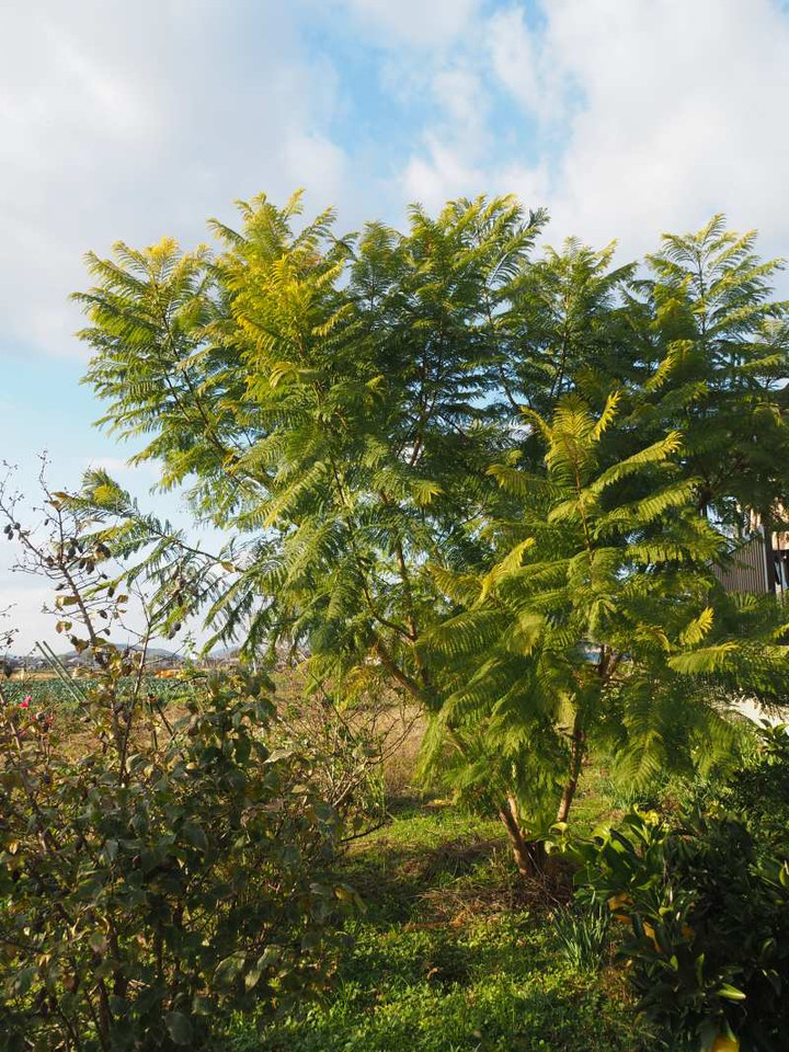 Pc080416
