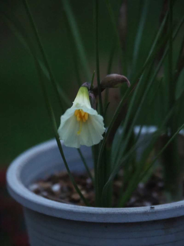 P1011124
