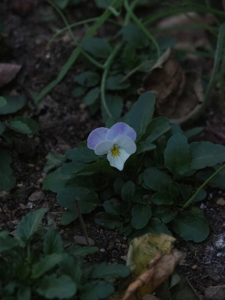 P1011127