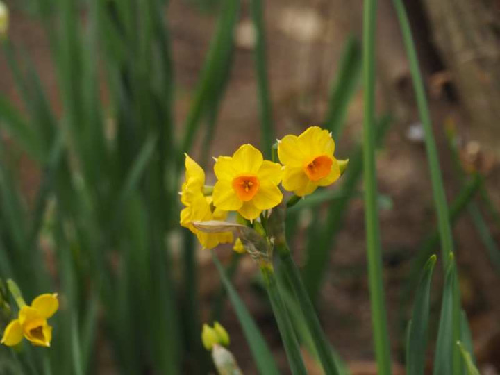 P1041136