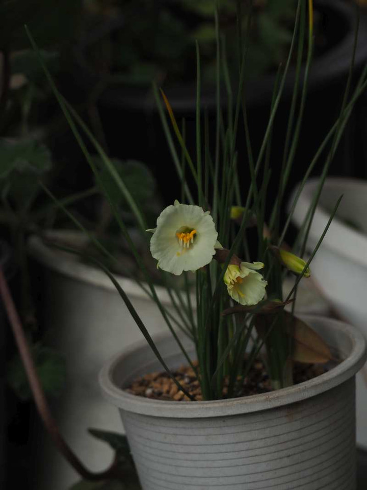 P1041140