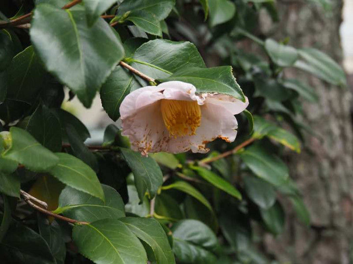 P1041148