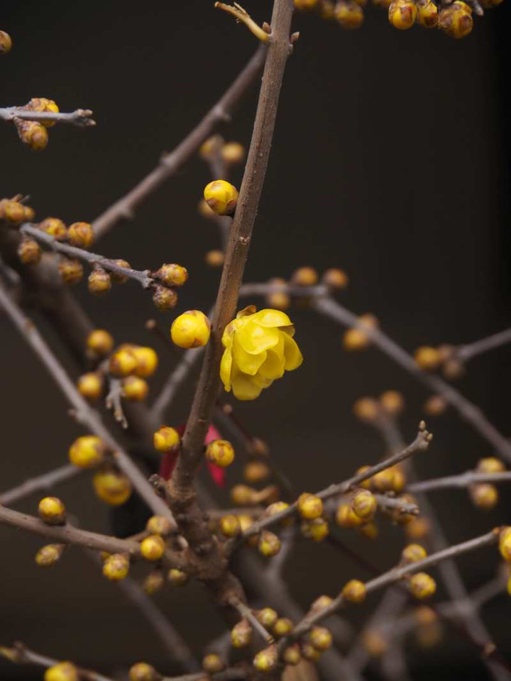 P1041149