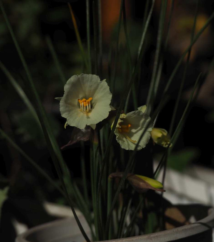 P1051150