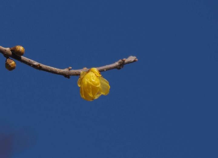 P1061165