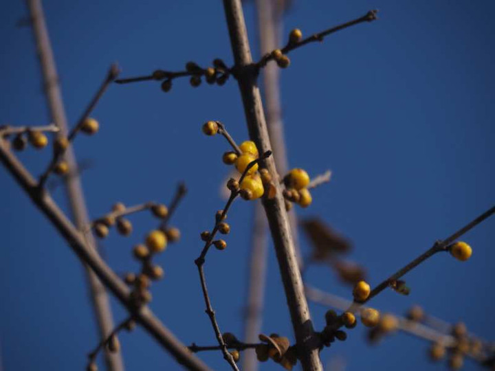 P1071183