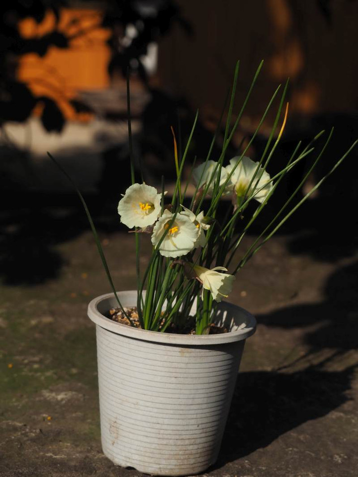 P1101372