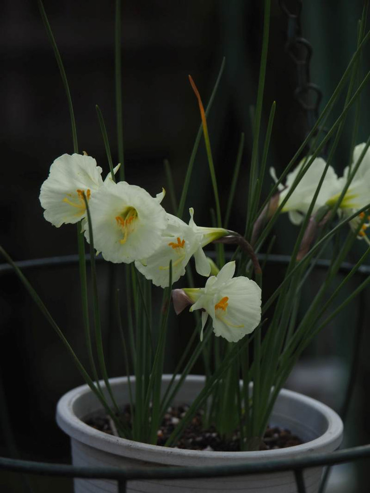 P1121403