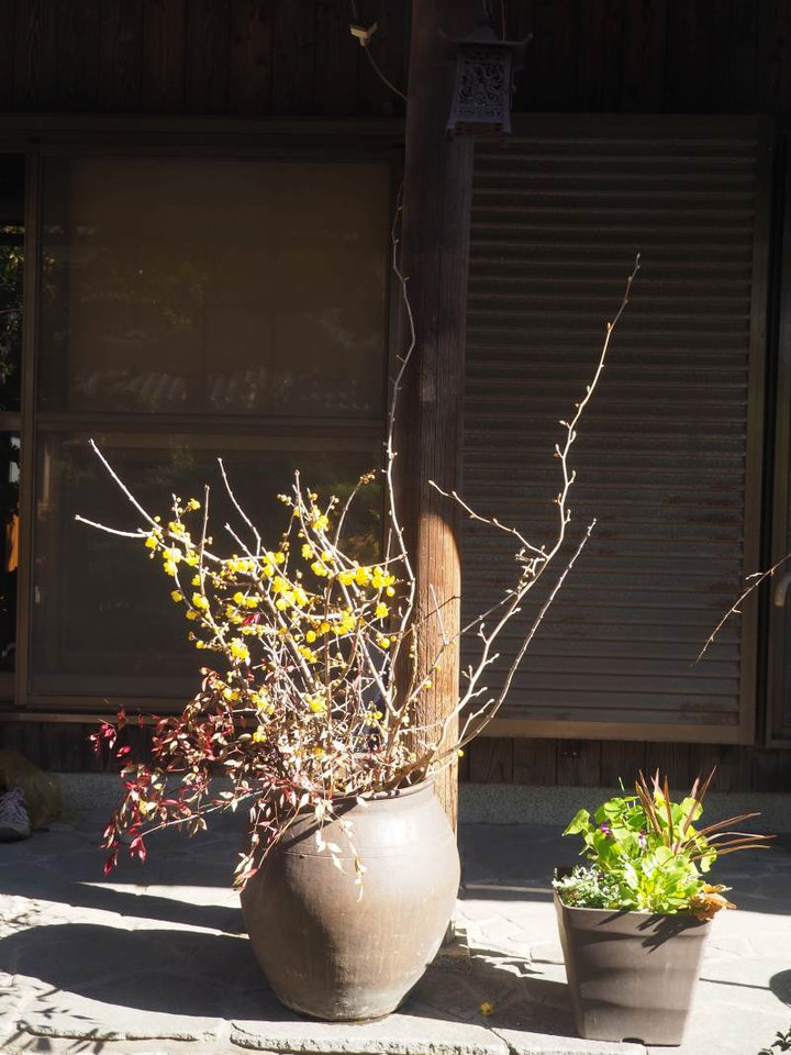 P1141456