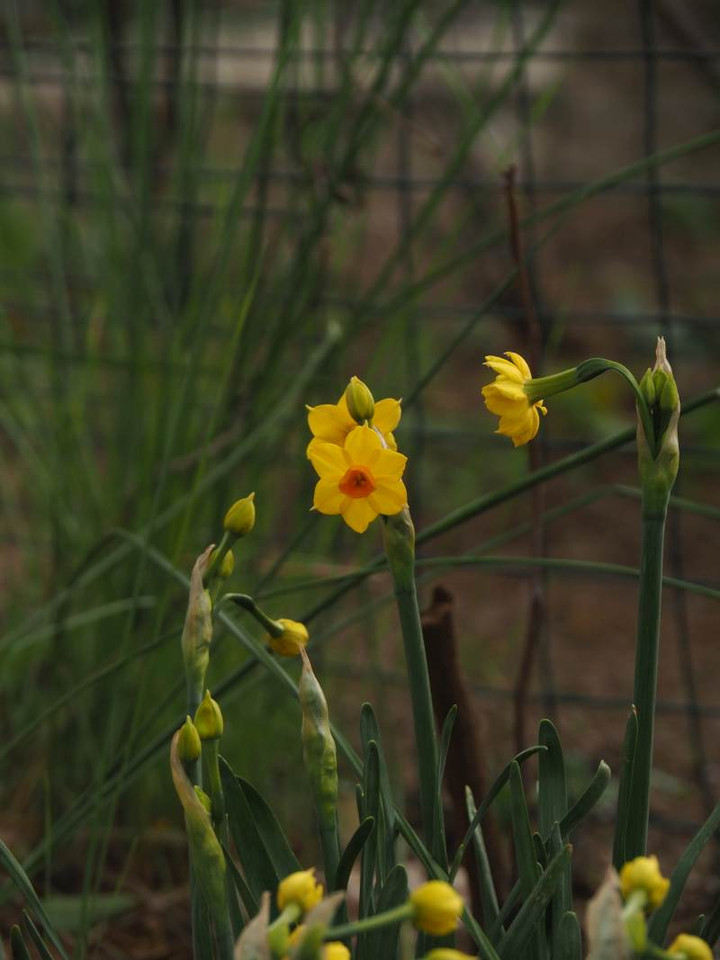 P1211686