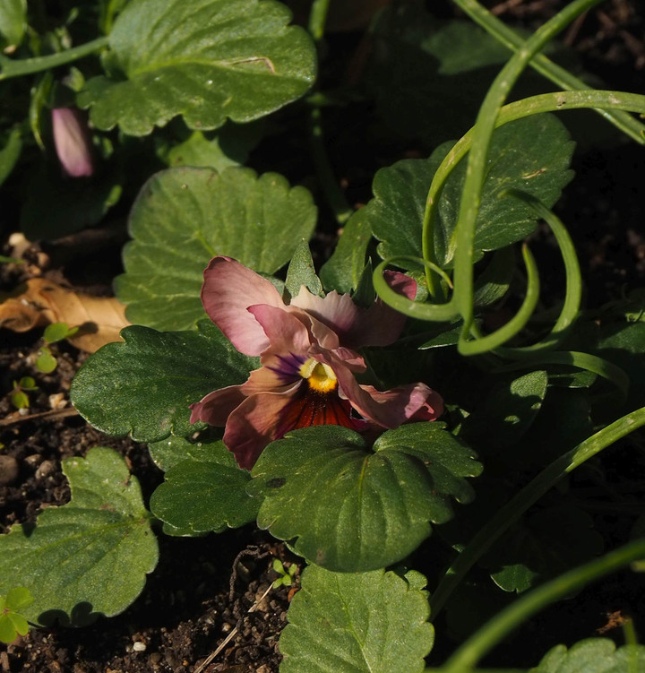P1282104