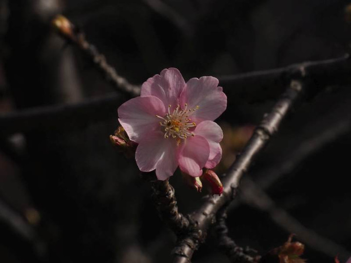 P2223372