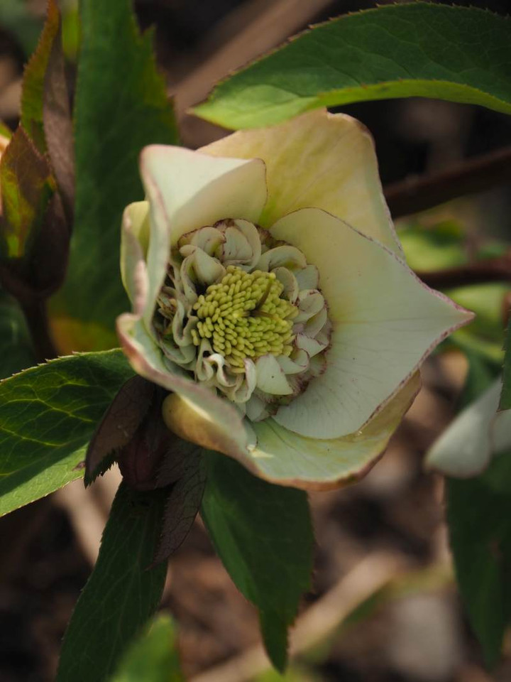 P3023804