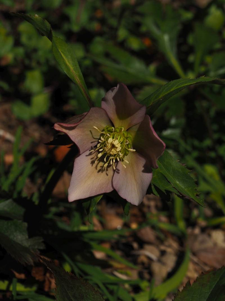 P3033836