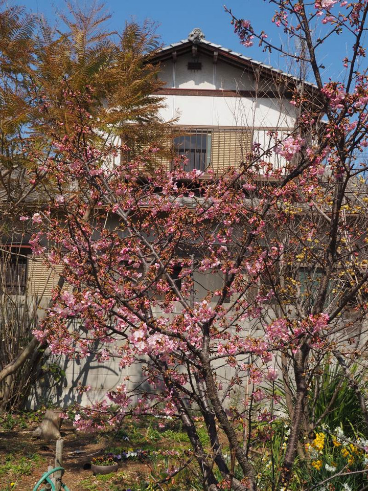 P3033839