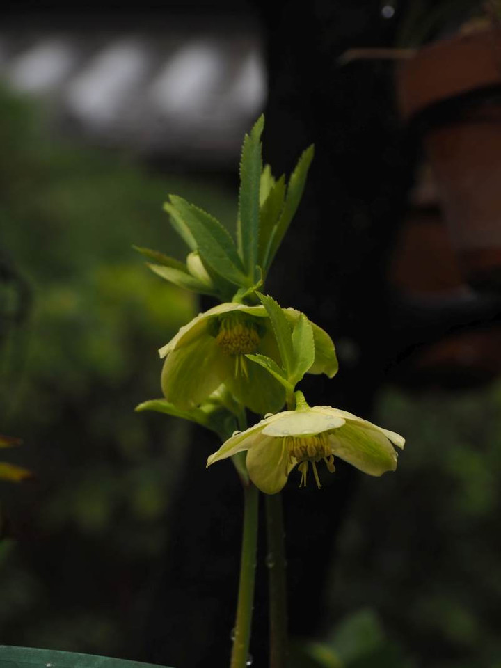 P3043876