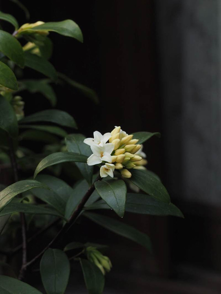 P3094250