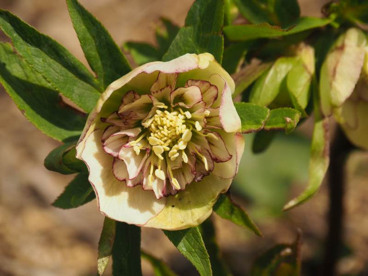 P3104275