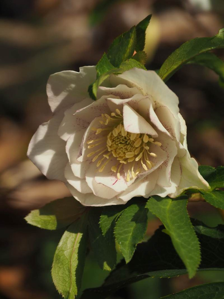 P3104277