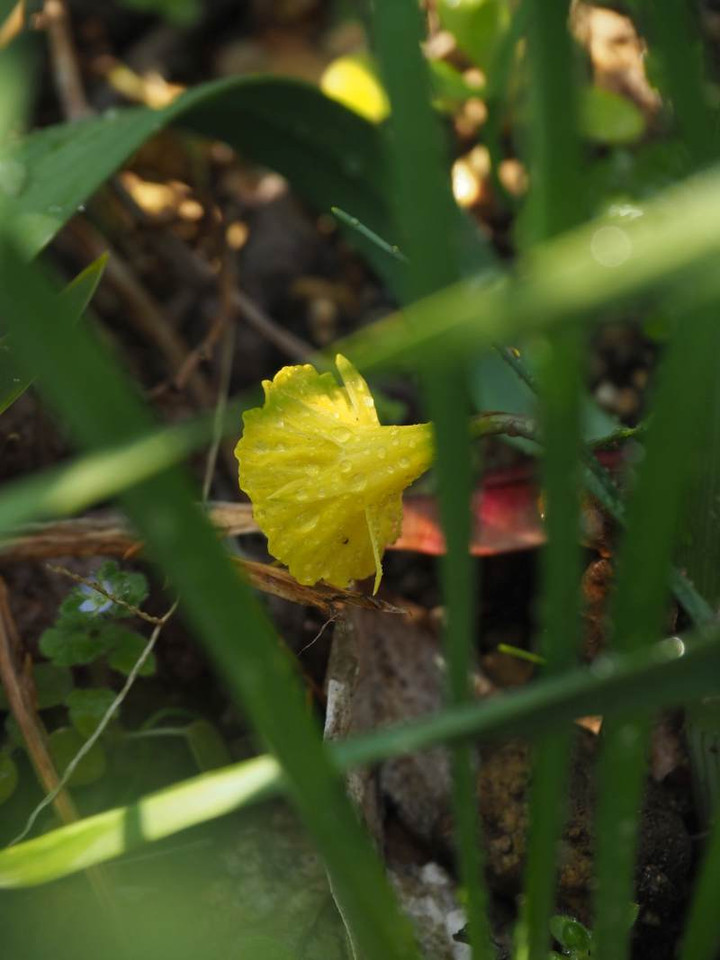 P3104280