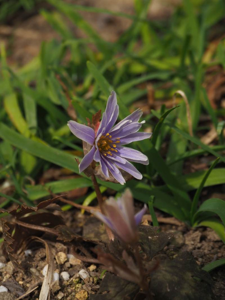 P3114299